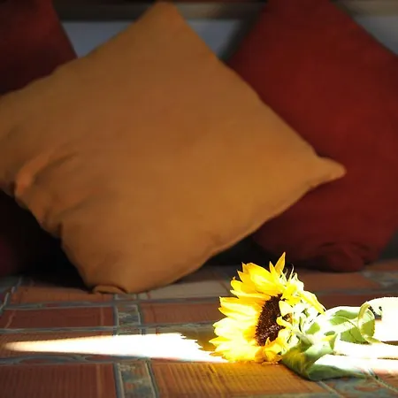 Casa De Trajinha Bed and Breakfast 3*