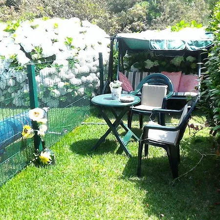 Casa De Trajinha Bed & Breakfast Afife